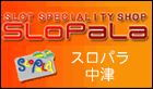 �X���p������